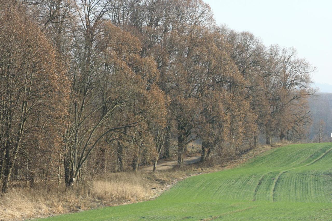 Zielone Okiennice Miłki Exteriör bild