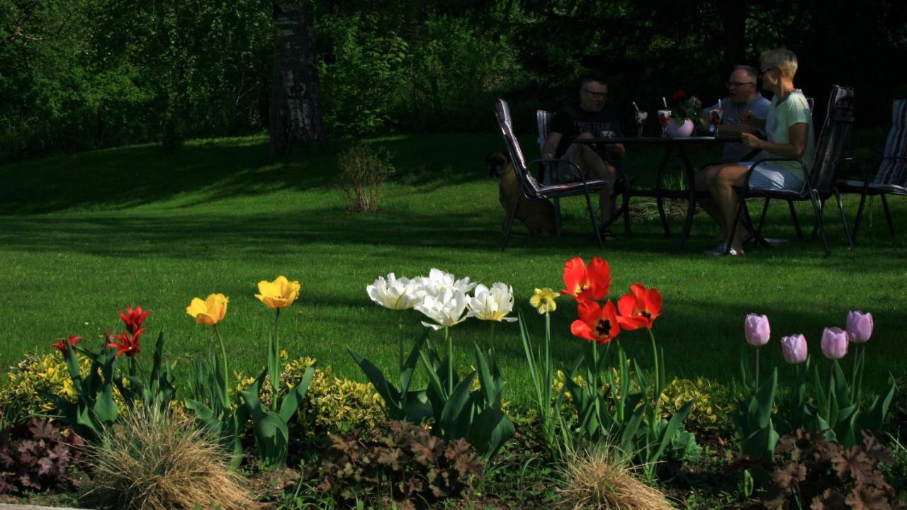 Zielone Okiennice Miłki Exteriör bild