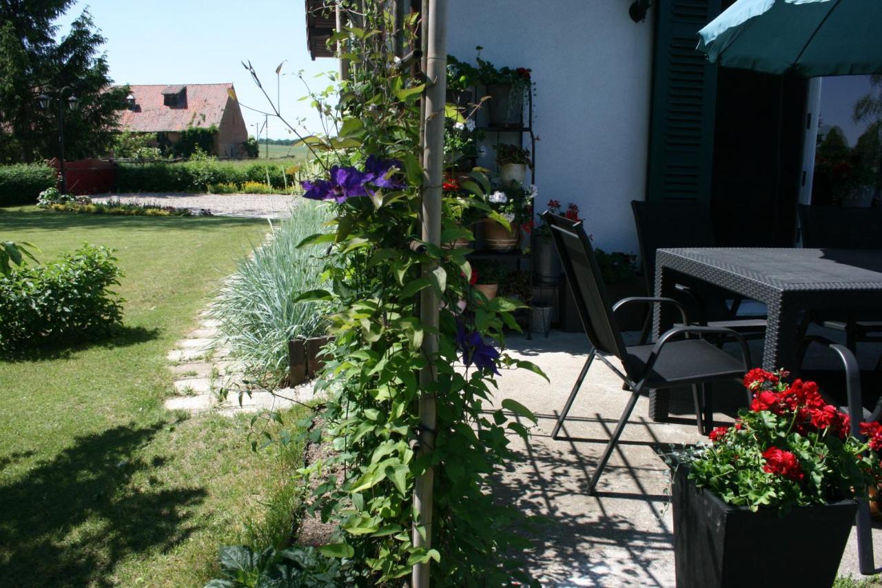 Zielone Okiennice Miłki Exteriör bild