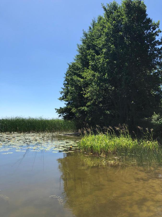 Zielone Okiennice Miłki Exteriör bild