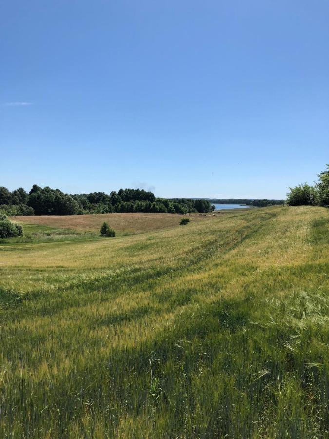 Zielone Okiennice Miłki Exteriör bild