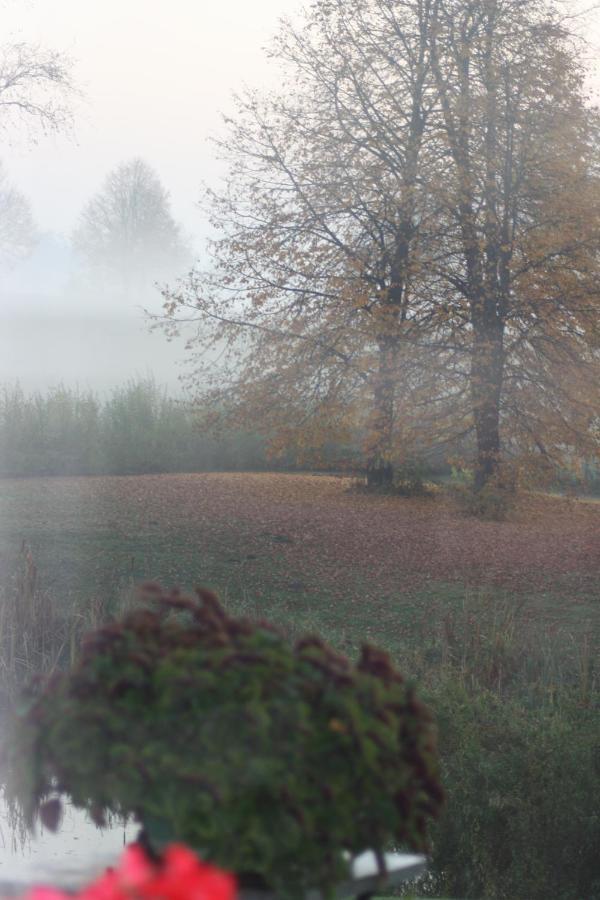 Zielone Okiennice Miłki Exteriör bild